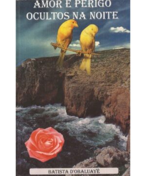 Amor e Perigo Ocultos na Noite